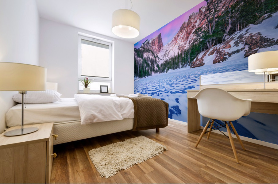Frozen Dream Mural print