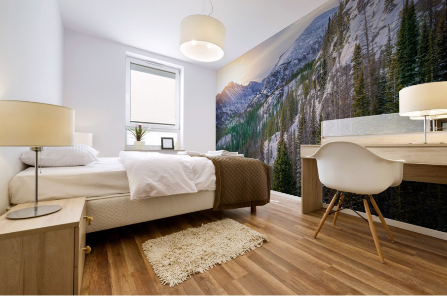 Longs Peak Mural print