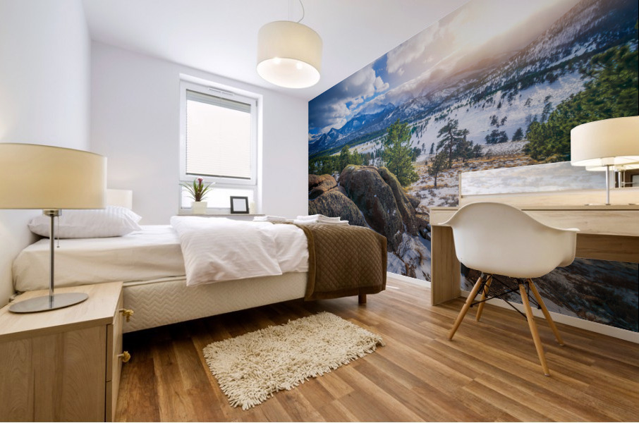 Across the Valley Mural print