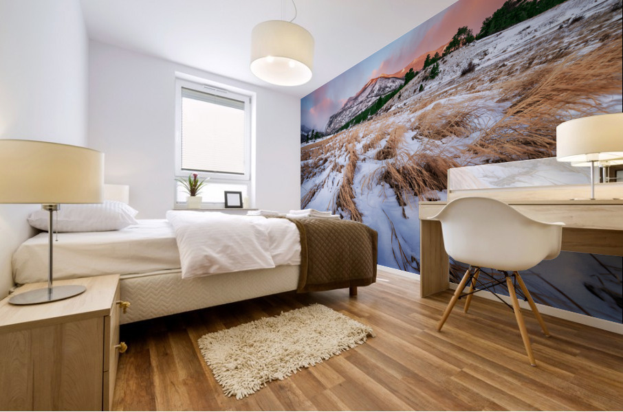Winter on the Plain Mural print