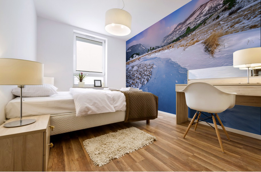 Frozen Flow Mural print