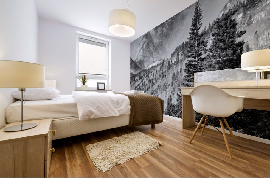 Hallett Peak Mural print