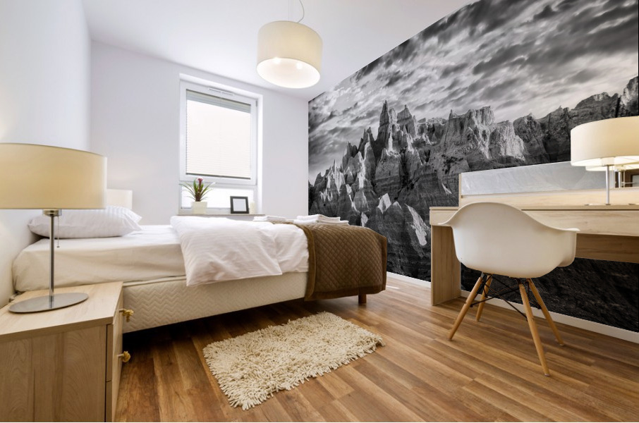 Badlands Chiaroscuro Mural print