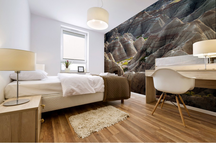 The Badlands Wall Mural print