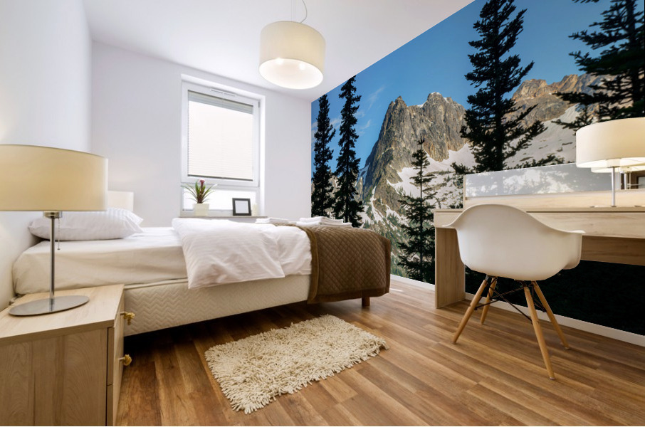 Cutthroat Peak Mural print