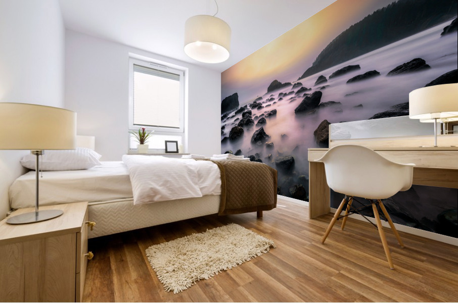 Ecola Mural print