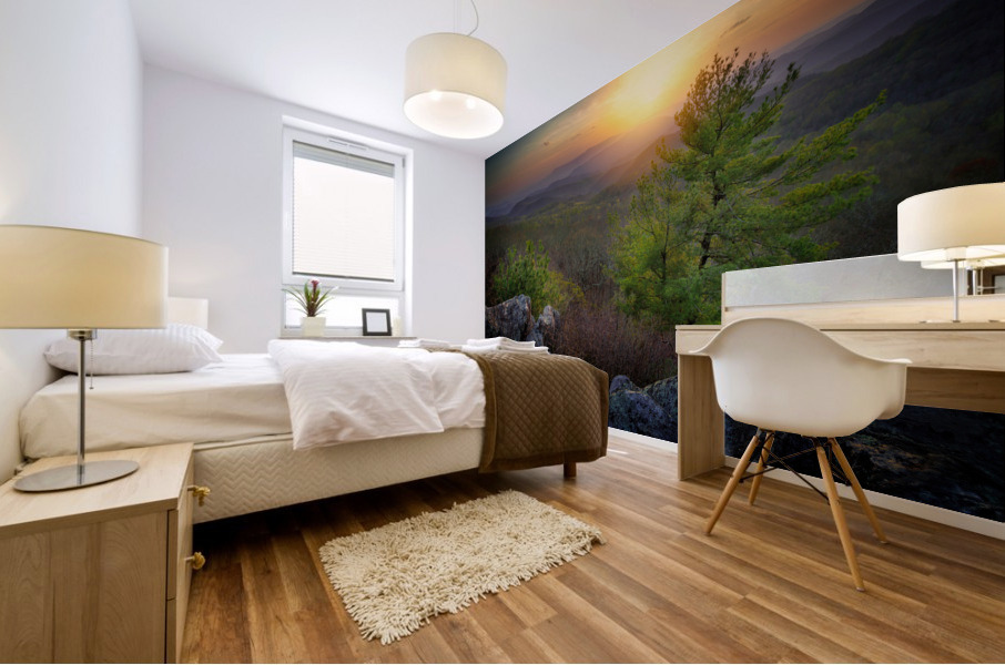 The Valley Beyond Mural print
