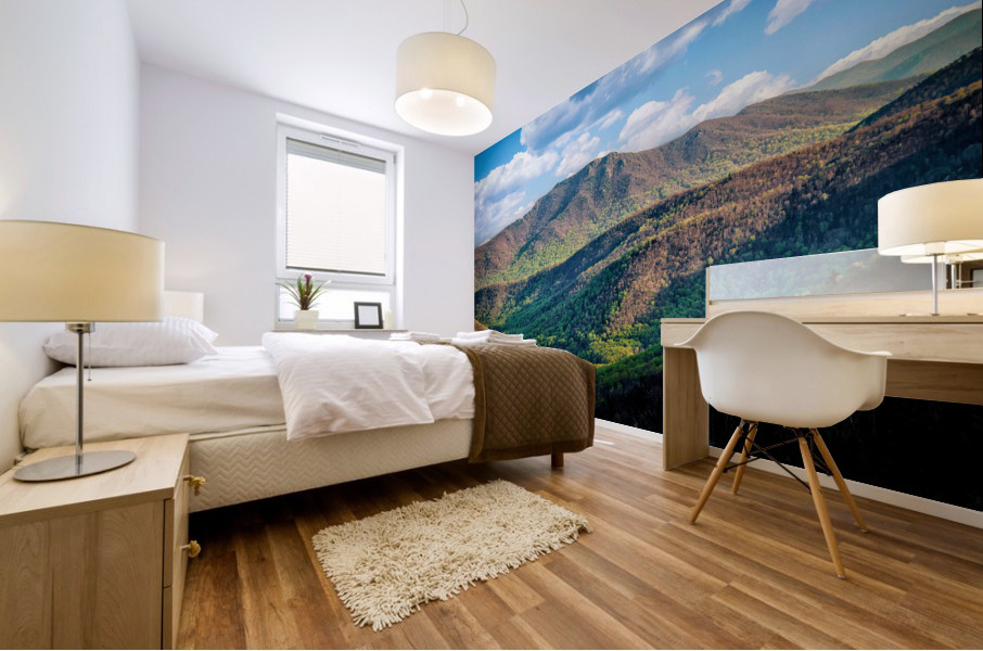 Old Rag II Mural print