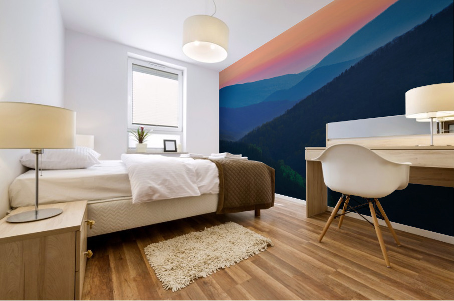 Shenandoah Dawn Mural print
