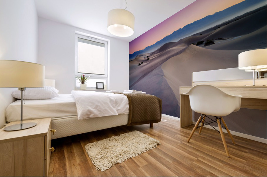 Into The Dunes Mural print