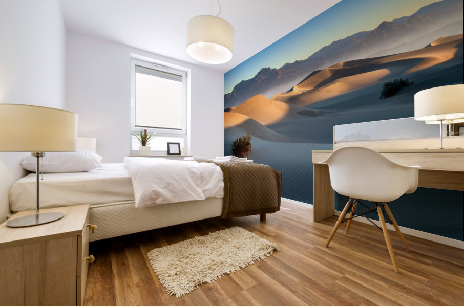 Mesquite Dunes Mural print