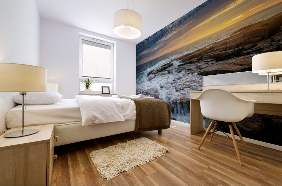 Schoodic Point Mural print