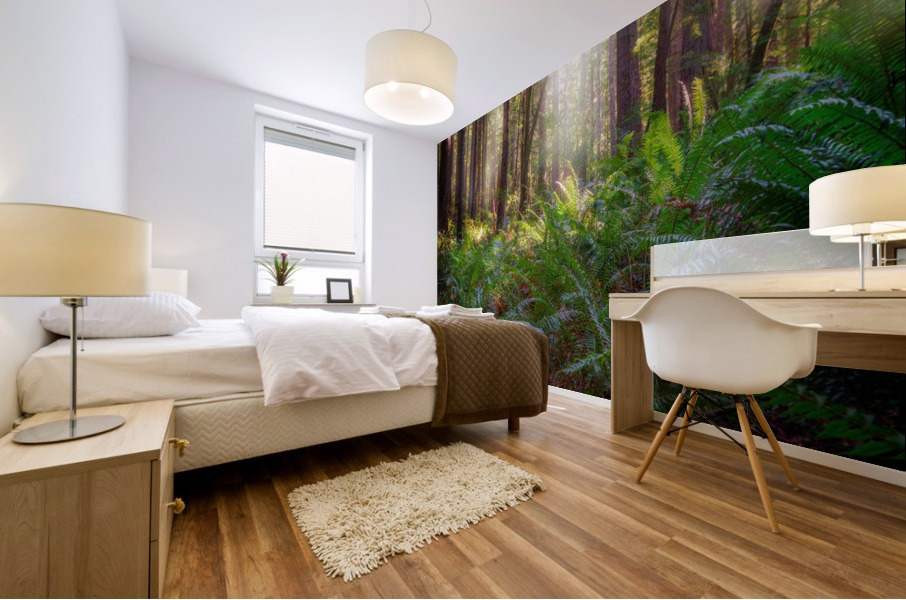 Oregon Redwoods Mural print