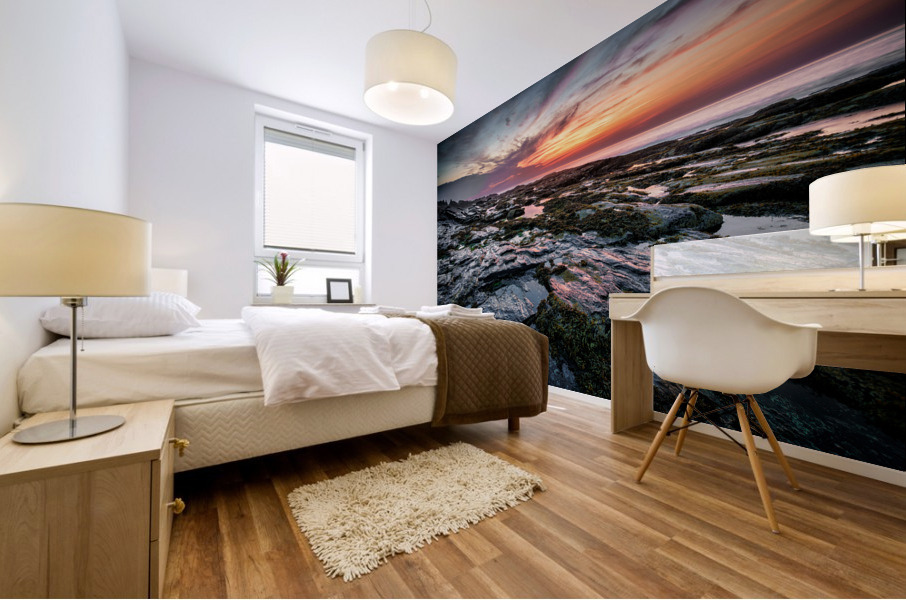 Low Tide at Two Lights Mural print