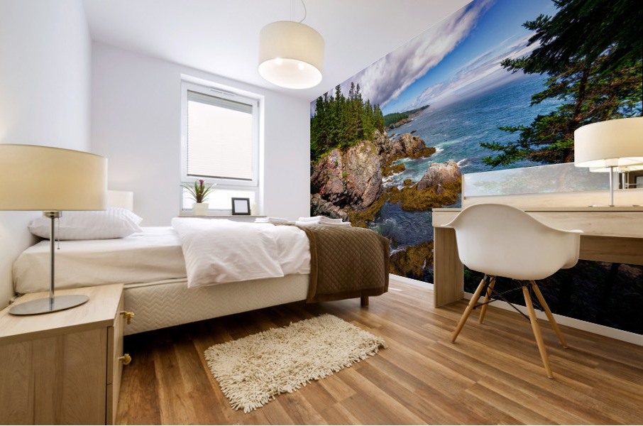 Cutler Coast II Mural print