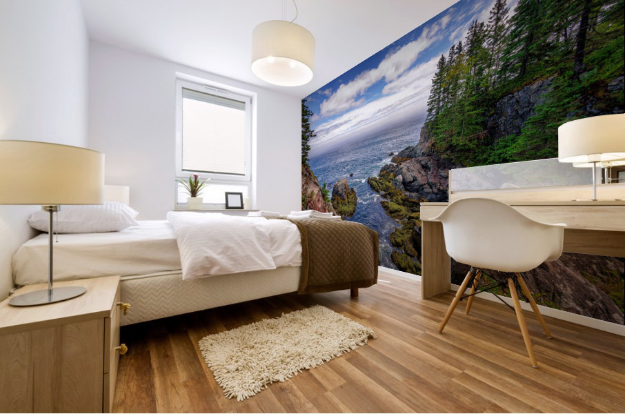 Cutler Coast III Mural print