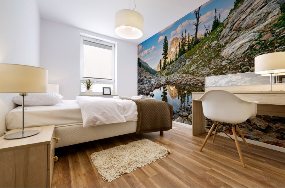 Mount Regan Reflection Mural print