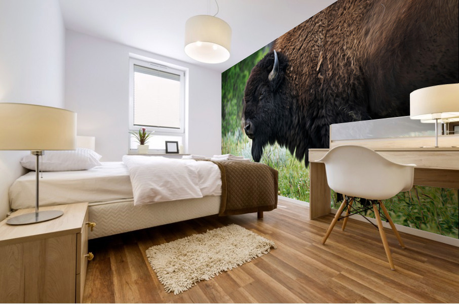 American Bison Mural print