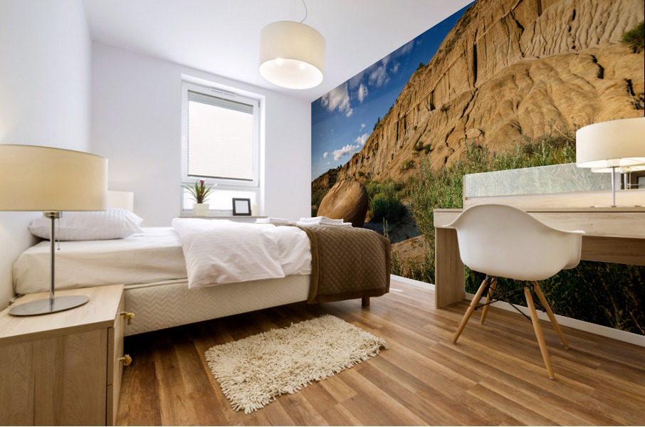 Cannonball Concretion Mural print