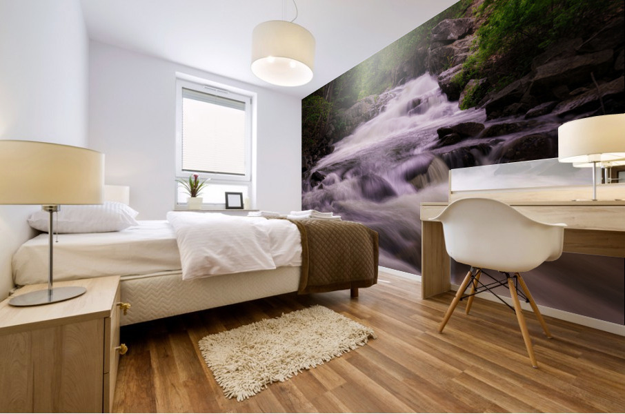 Spring Flow at Duck Brook Mural print