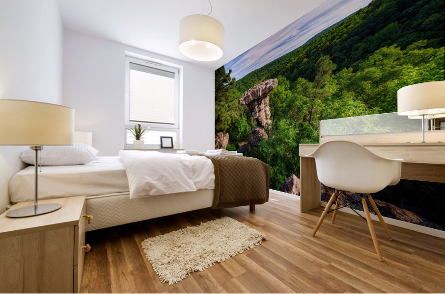 Pedestal Rock Mural print