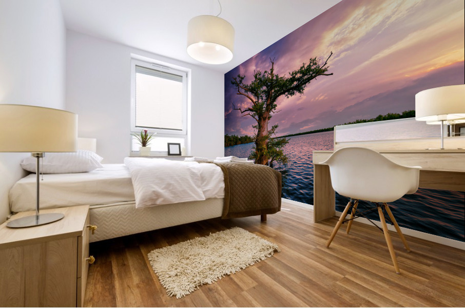 Bayou Twilight Mural print