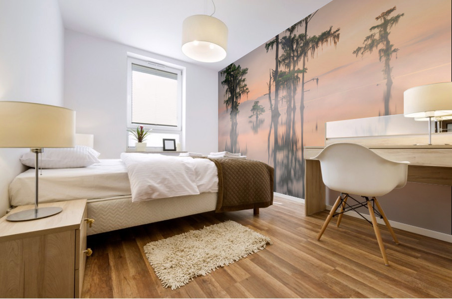 Cypress Whispers Mural print