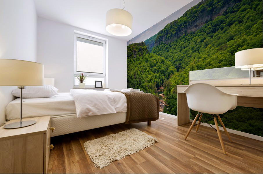 Little River Canyon Mural print