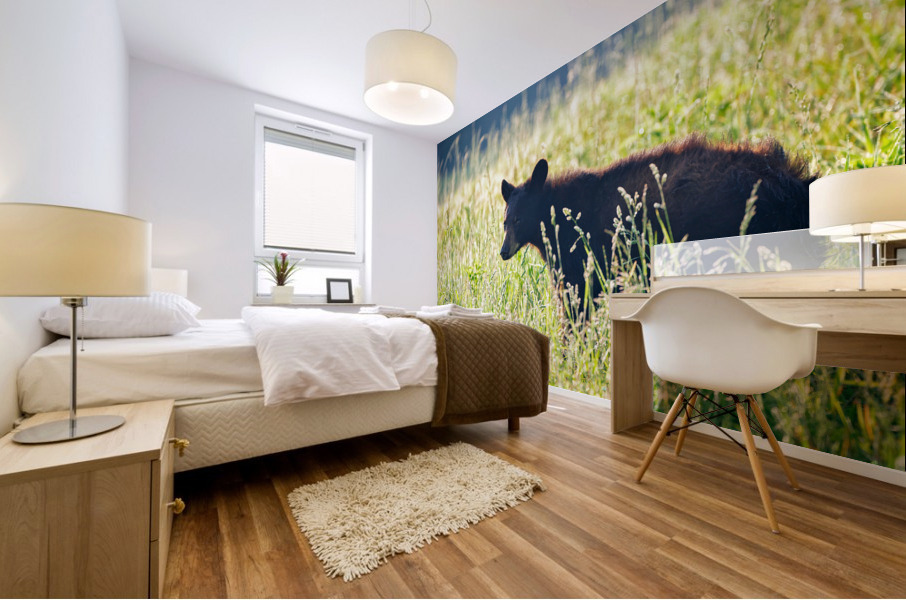 Black Bear Cub Mural print