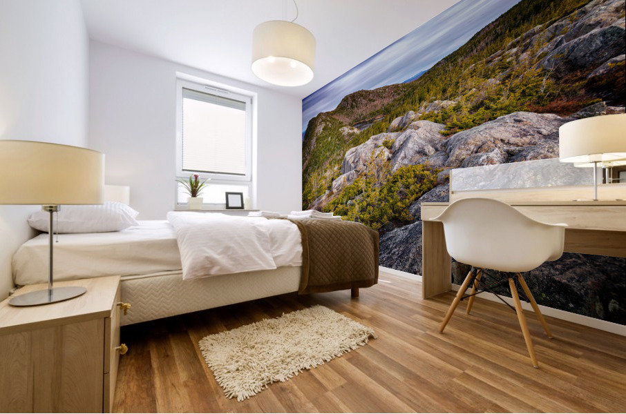 Tumbledown Mountain Mural print