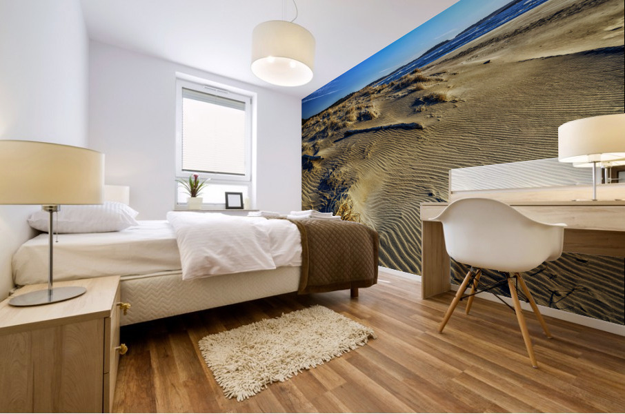 Popham Beach Mural print