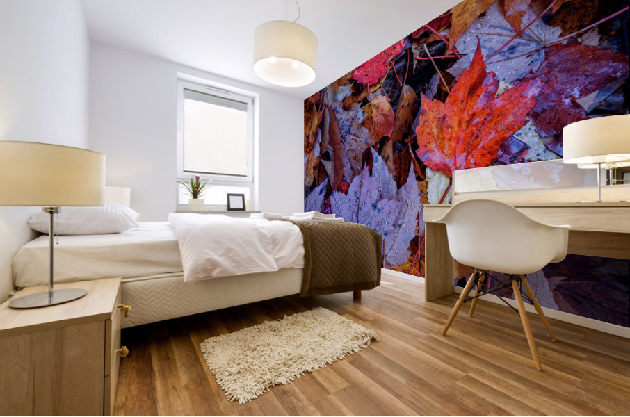 Wet Leaves Mural print