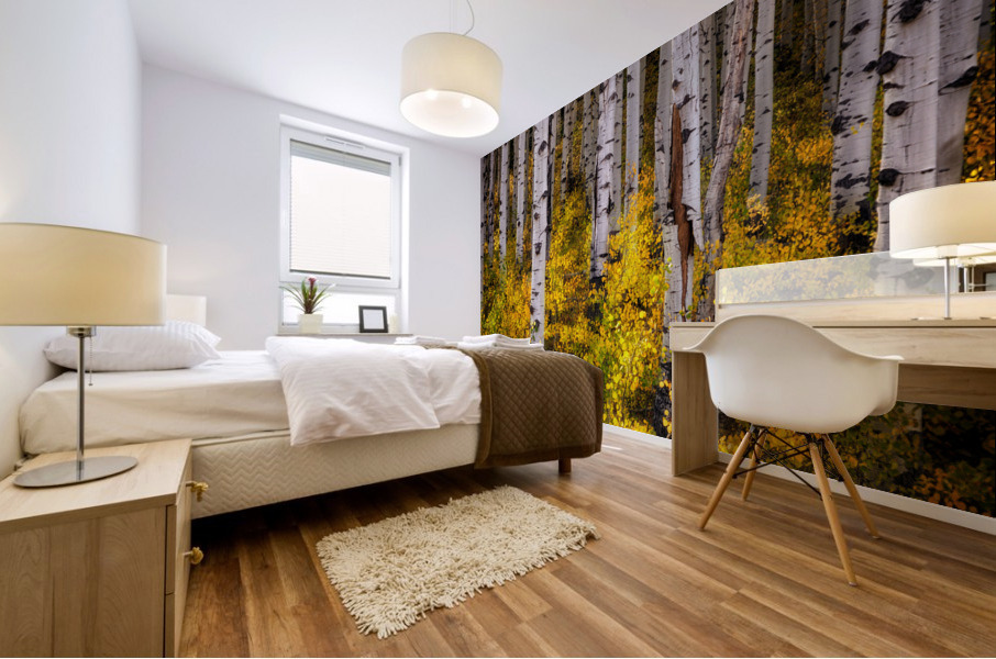Aspenglow Mural print