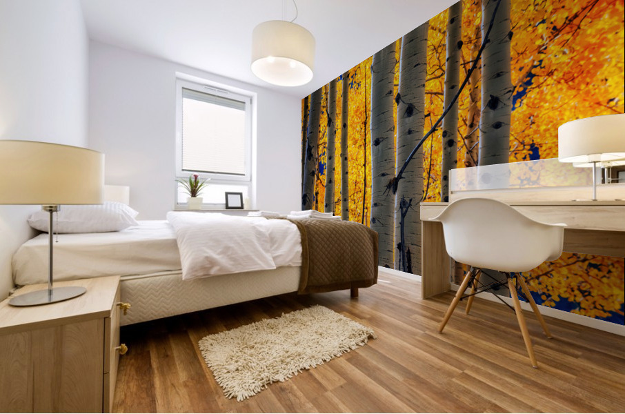 Aspenglow IV Mural print