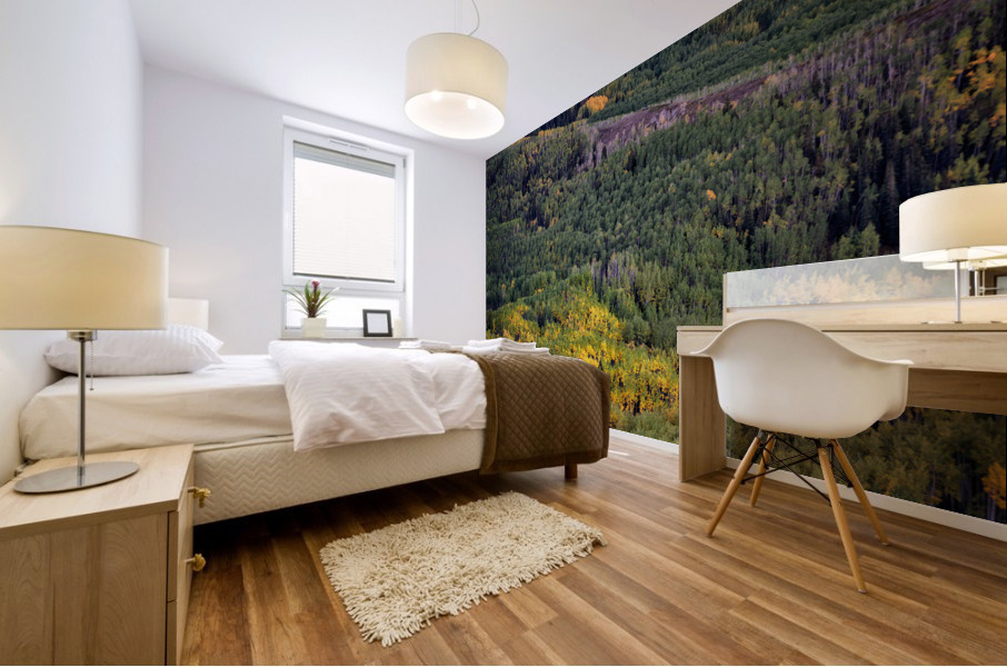 Capitol Peak Mural print