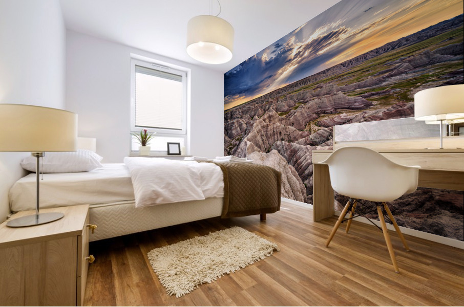 Badlands Mural print