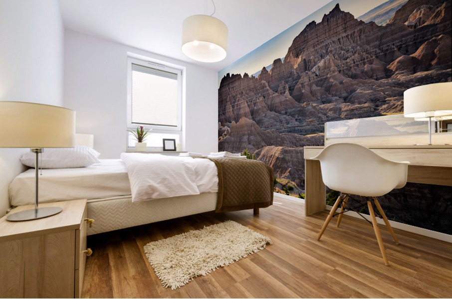 Badlands VII Mural print