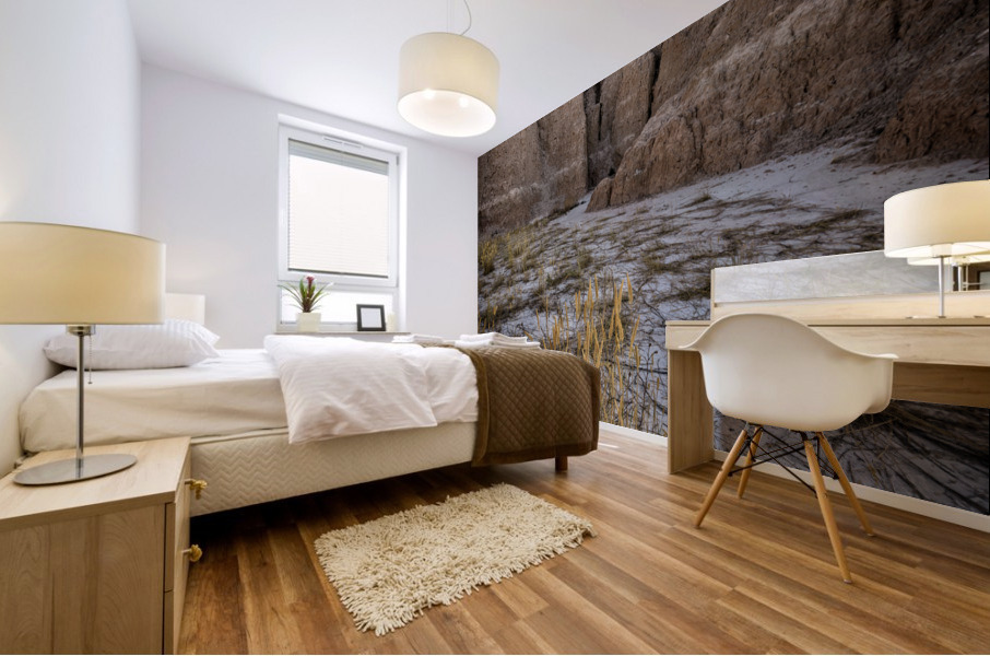 Badlands V Mural print