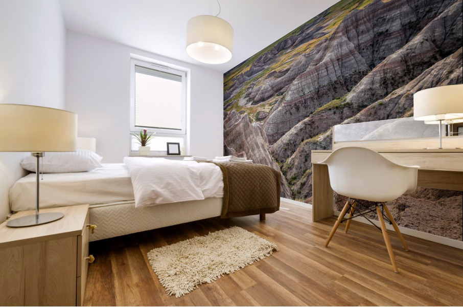 Badlands III Mural print