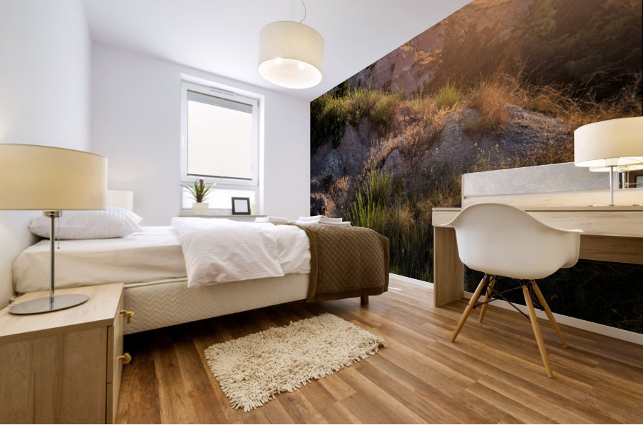 Badlands VI Mural print