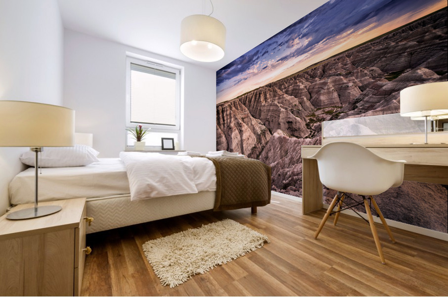 Badlands II Mural print