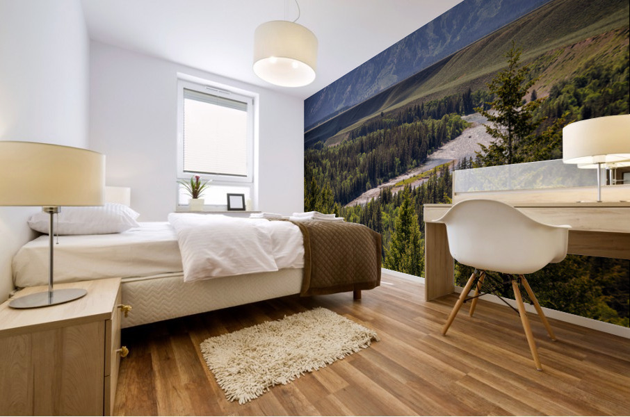 Grand Teton Mural print