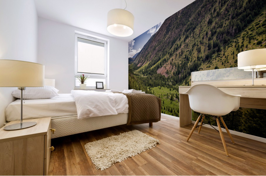 Sun Valley II Mural print