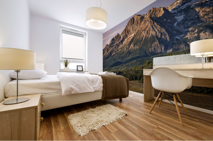 Williams Peak Mural print