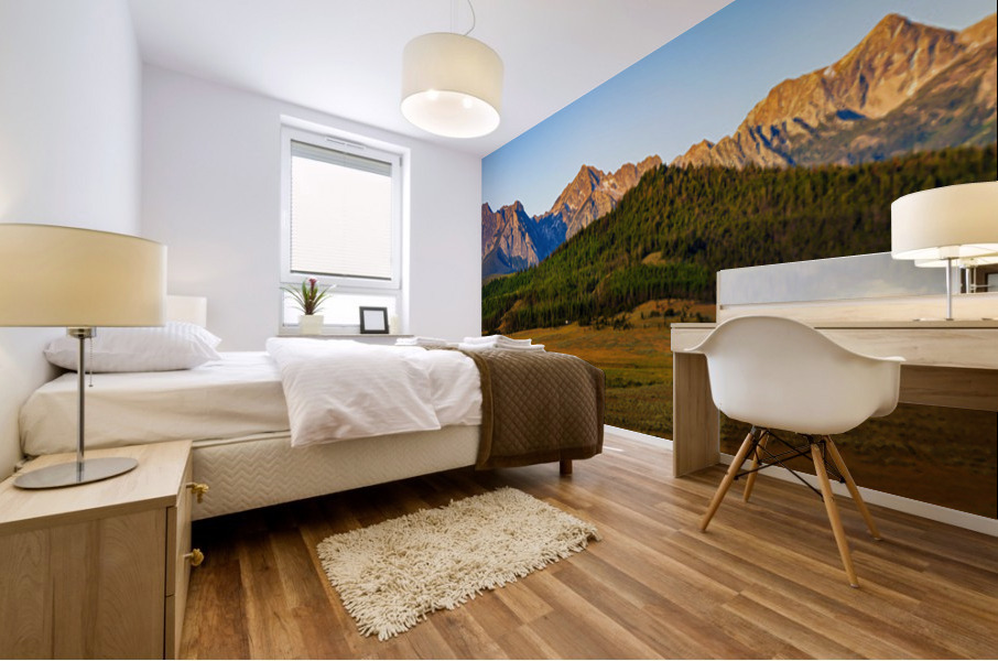 Sawtooth Panorama Mural print