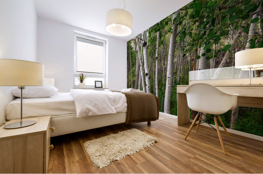 Aspens Mural print