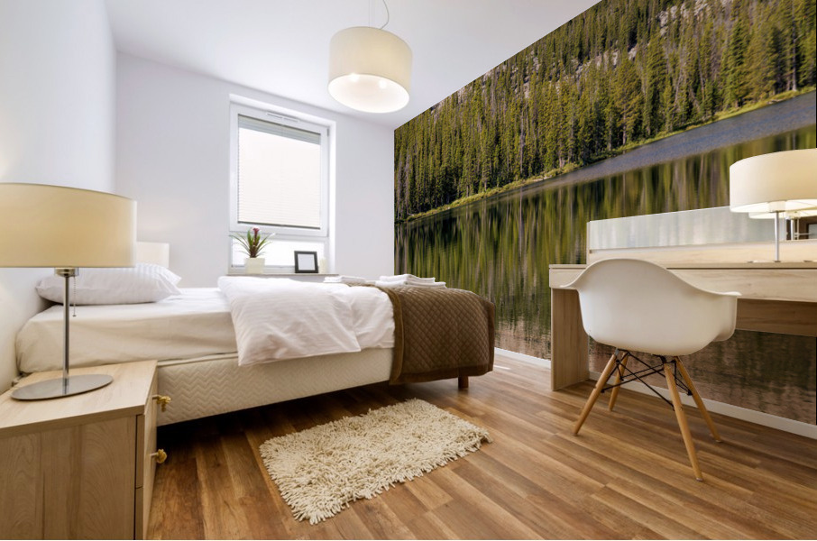 Mount Heyburn Mural print