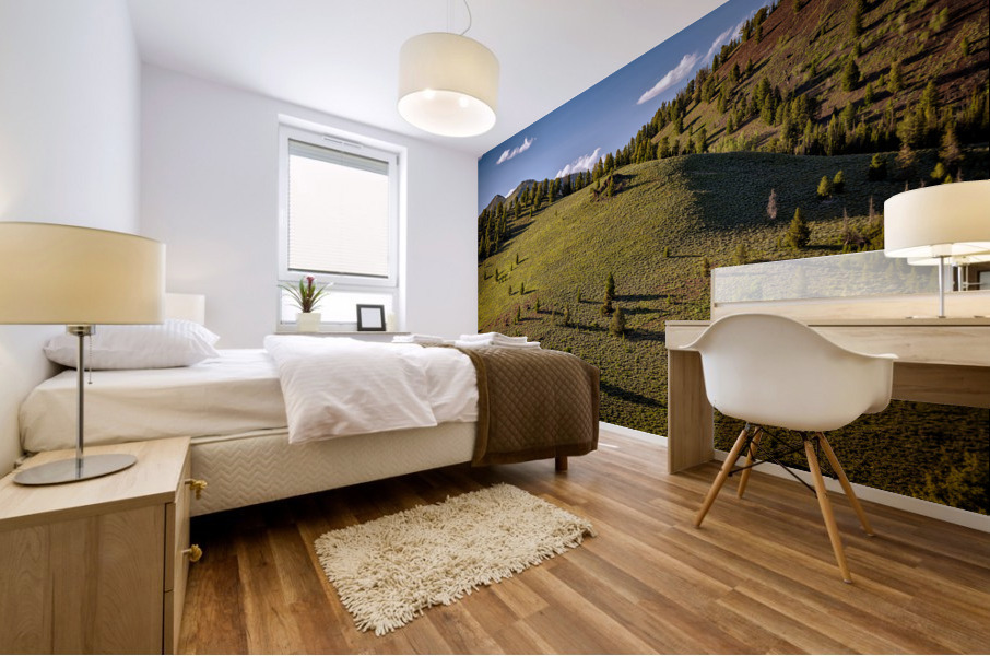 Galena Summit Mural print