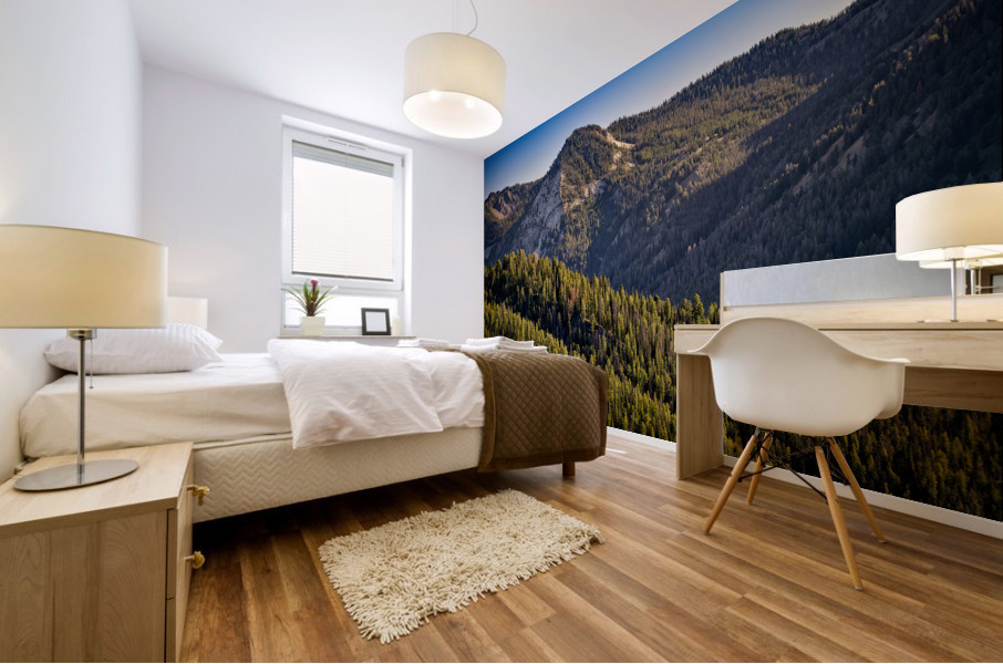 Sawtooth Foothills Mural print