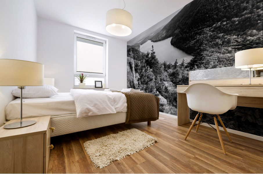Granite & Glass Mural print